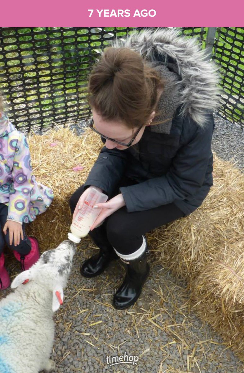 miss_trewick's tweet photo. Little throwback to my first nursery trip to @HallHillFarm 🐑 https://t.co/3SVRe0Khwg