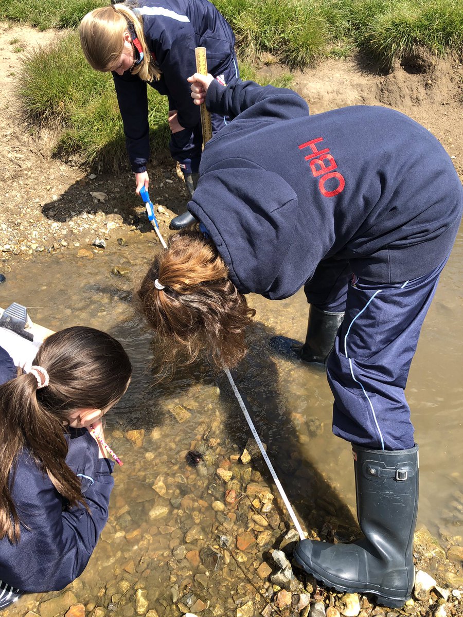 OBHSchool's tweet image. Our Year 7 students were out on a Geography field Trip, exploring the River Brett.
 
#oldbuckenhamhallschool #geographyfieldtrip #riverbrett #suffolkrivers #naturalgeography #suffolkindependentschool #suffolkprepschool