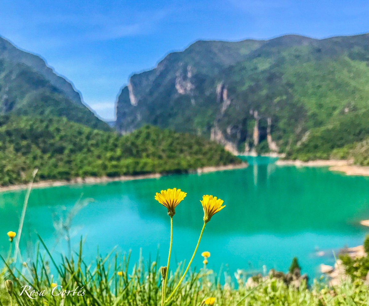 rcvinzo's tweet photo. No me canso de volver...📍Chiriveta 

#HuescalaMagia
#Hueca
#Aragon
#Ribagorza
#landscapephotography https://t.co/ScnUHgIspG