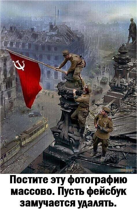 Александр Евгеньевич (@alex_vlgrd) on Twitter photo 