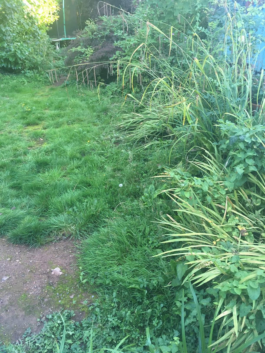 And this was the upper section of the garden by the house. Nothing much to initially inspire, but I saw only potential... 3/6