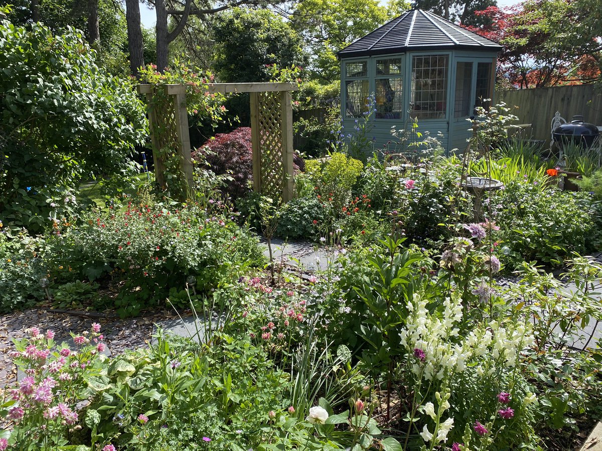 Finished off with a small fruit and vegetable patch, a raised herb planter and a patio at the very top where we can sit and enjoy the fruits of our labours (when I’m not jumping up as I’ve seen something else that needs deadheading!) 5/6   #FlowerHunting