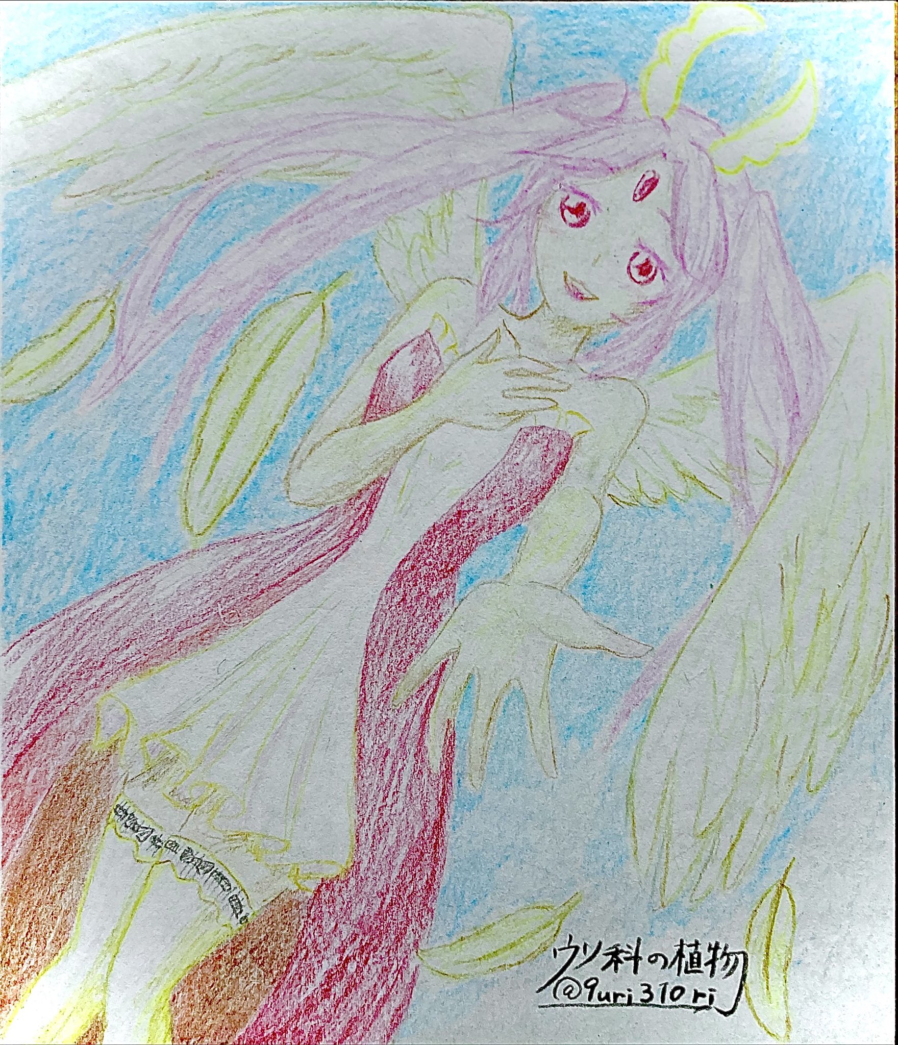 つる植物のイラスト展 Karakusa9uri Twitter