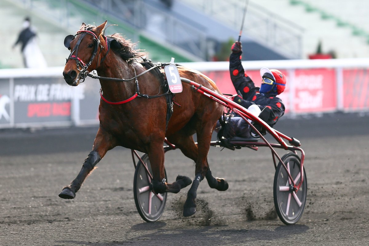 equidia's tweet photo. 📢BREAKING NEWS 
Lauréate du Paralympiatravet,⭐️Délia du Pommereux⭐️ne participera pas à l'Elitloppet.
🎙️ Noël Lolic : "On ne retournera jamais en Suède. Je suis très en colère de la sanction injustement reçue par @RaffinEric. Ma décision est actée." https://t.co/XpSdN7iyzn