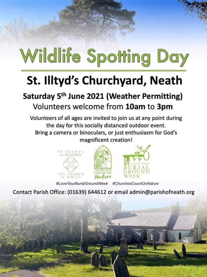We are really looking forward to this! 
 There are foxes, jays, robins, toads, frogs, bumble bees, slow worms and plenty of dragonflies! 
Come and see what you you can discover! 
#LoveYourBurialGroundWeek
@stilltydneath @StDavidsNeath @StThomasNeath