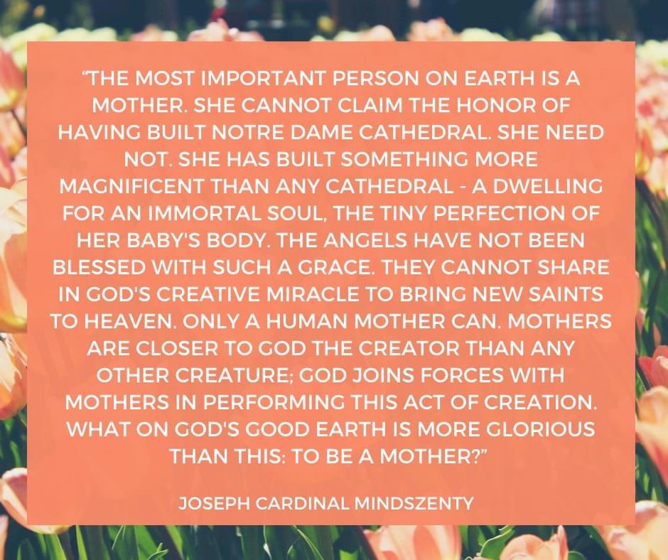 Auriesville Shrine (@auriesville) on Twitter photo 