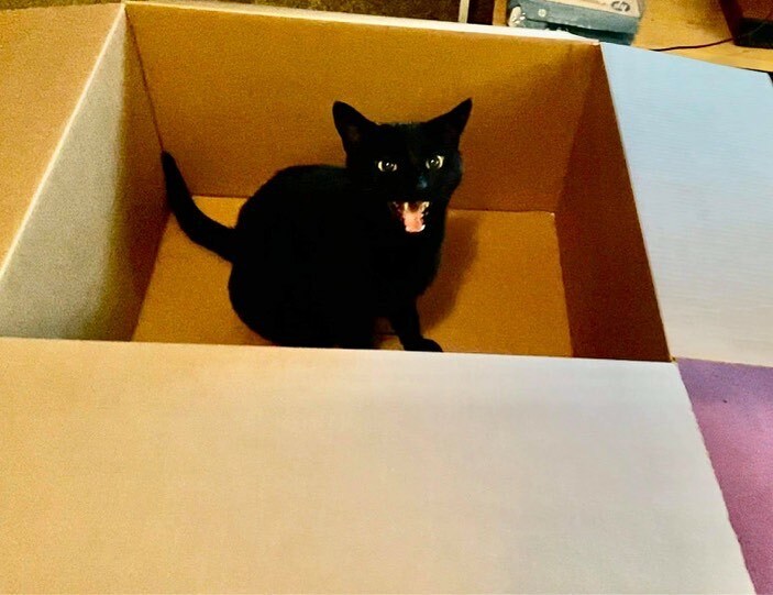 “Thanks for the box, mama!” instagr.am/p/COpOwusjOz8/