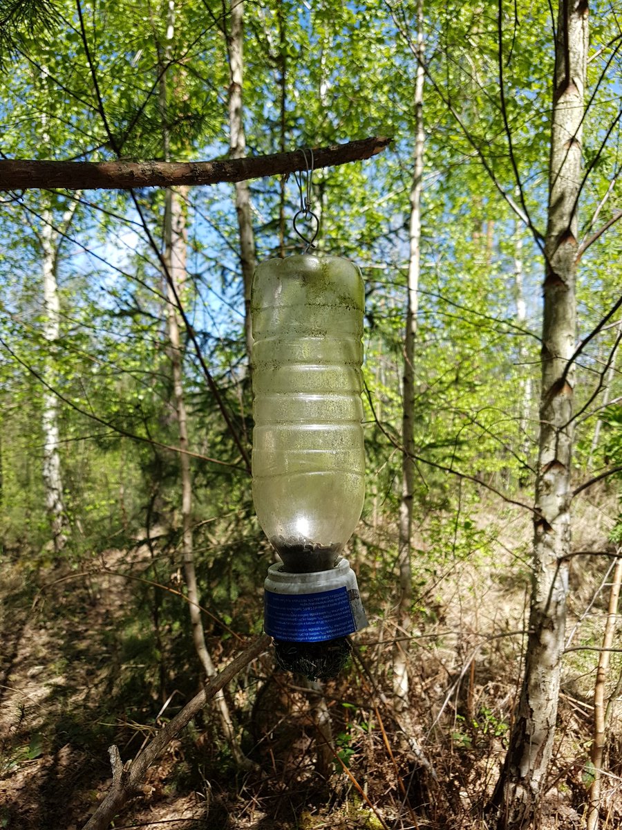 DEROVA4's tweet image. Krmíme 🐦