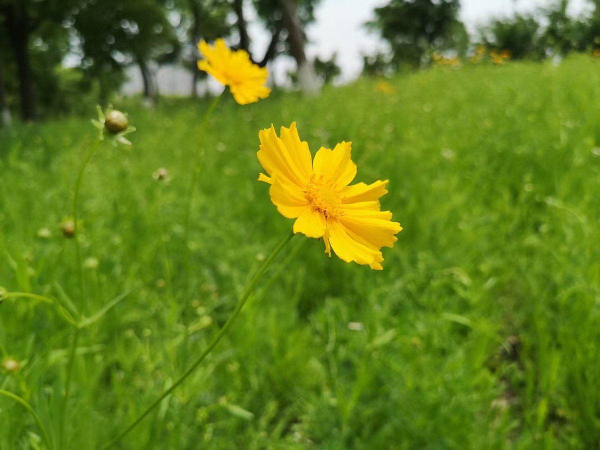paulcaisd's tweet photo. 💐 Happy Mother's Day 💐
Feel love in nature 🐘🦆🦃🌼
#MothersDay #mothersdaygifts #MothersDayWeekend https://t.co/kIqVleqYYk
