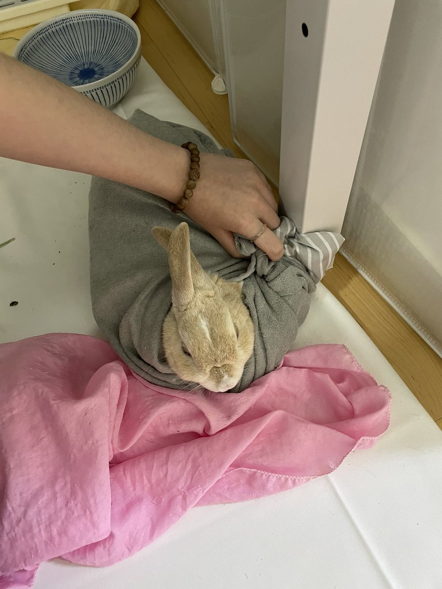 청아 부리또
(7번 실패함)