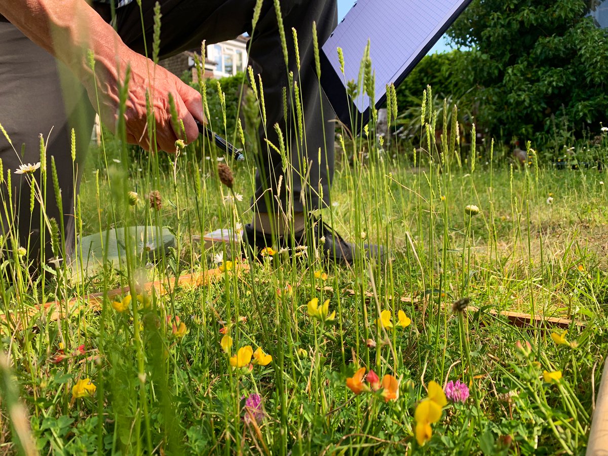 Sunday Brunch on @bbcglos is garden packed today! We hear from <a href="/RacheldeThame/">Rachel de Thame</a> about Garden Day; <a href="/DrTrevorDines/">Trevor the botanist</a> explains No Mow May; we hear about the <a href="/NGSOpenGardens/">National Garden Scheme</a> Garden and Health week plus peat free compost with <a href="/SylvaGrow/">SylvaGrow</a> (photo credit Pines Corner) 🌱🐞🌷🪴📻🪱🐛🦋🪲