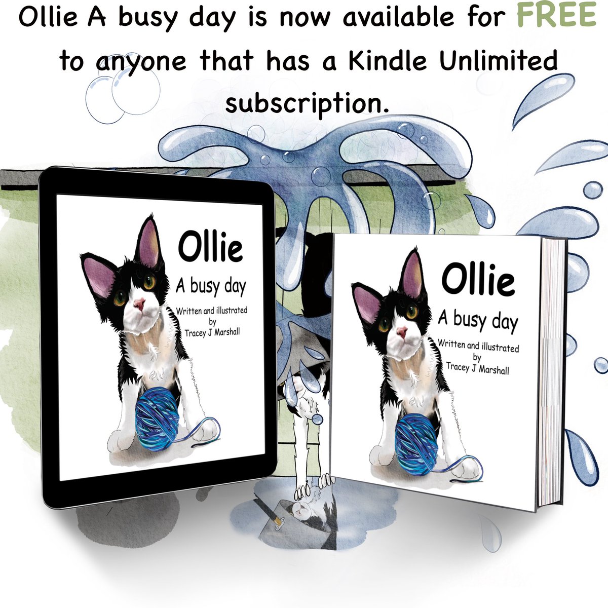 #childrensbook #ollieabusyday #books  #ChildrensBooks #cats #catbook