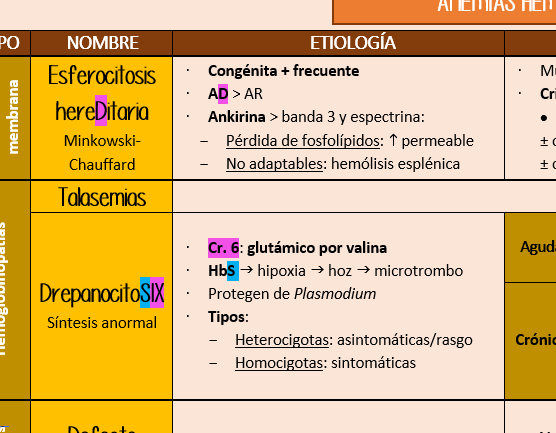 MIRificaremos's tweet photo. YA CASI HEMOS TERMINADO HEMATO!!! 
Como os veníamos comentando, hemos estado trabajando en el manual de repaso de Hematología🩸 (asignatura densota donde las haya😅).
Os dejamos una pequeña previa del manual, a ver que os parece👀
Así que si queréis haceros con él, ¡MD!📪 https://t.co/AXoss8hp9i