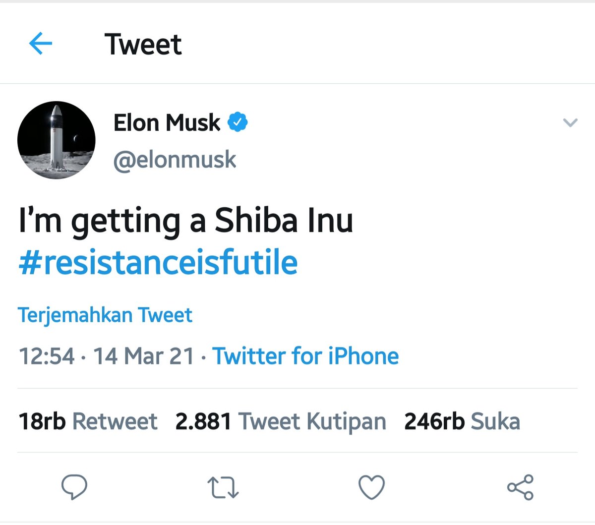 xwitterss's tweet photo. SHIBA INU To The Moon 🚀🚀🚀🌕🌕🌕
#Shib #SHIBARMY #ShibaSwap https://t.co/x6eR1lpaoo