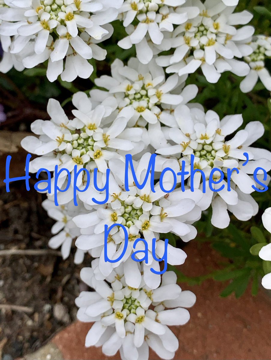 To all the mother’s, we hope you have a great day! #kandrlandscape