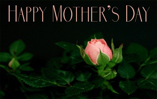 #HappyMothersDay to you all the wonderful #SPNMother 💐🌹💖