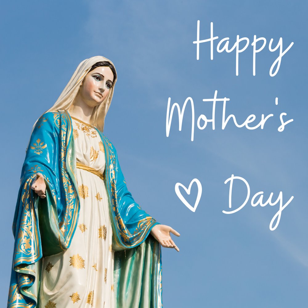 Seton LaSalle tweet media