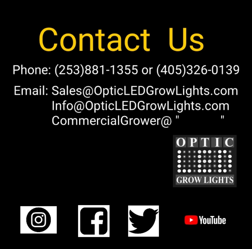 WGREGO202's tweet photo. Love the colours in this garden! Big shout out to @mi_notoriousbudz and his Optic 8 and Slim 600H garden
#teamoptic #opticledgrowsquad #opticled #Dimmable #slim600h #optic8 #creexpe #meanwelldriver #marijuanagrowers #indoorgarden #indoorgardening https://t.co/p5QP3cOEyC