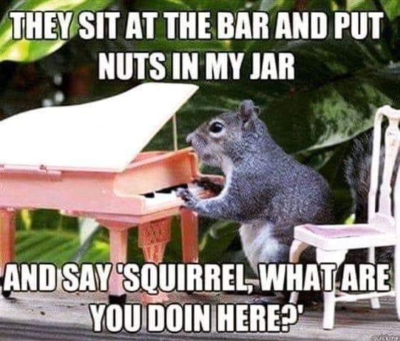 Happy 72nd Birthday to the Piano Man, Billy Joel! 