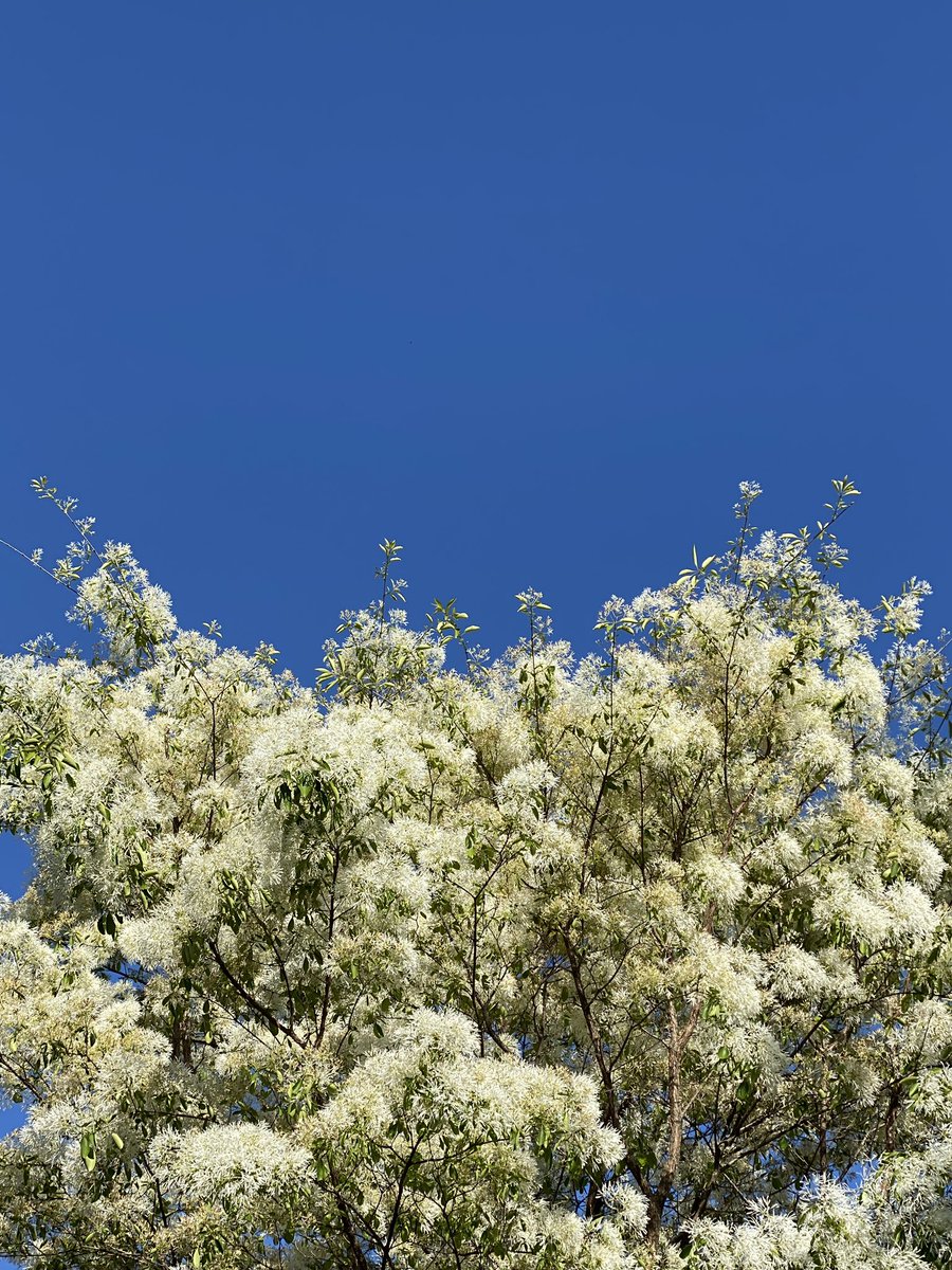 배고픈 사람 tweet media