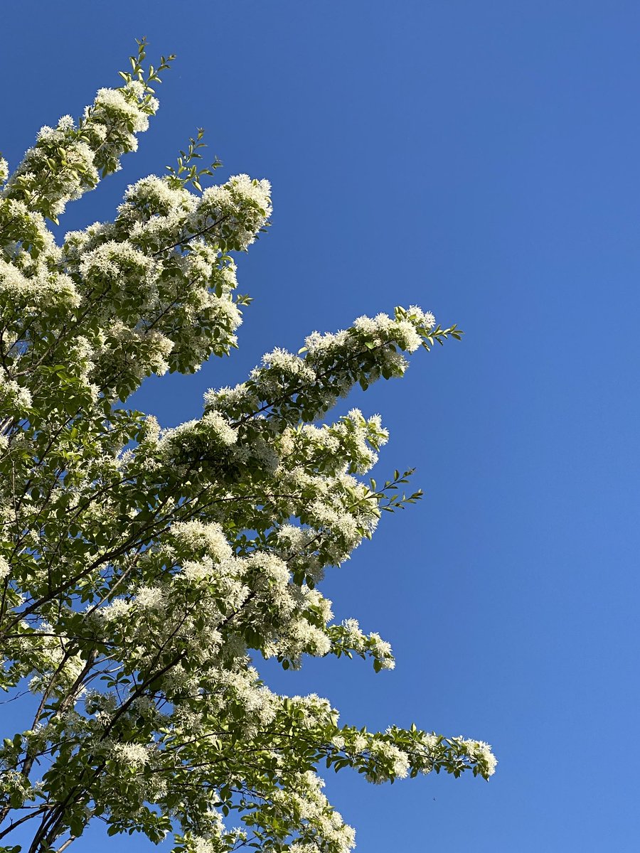 배고픈 사람 tweet media