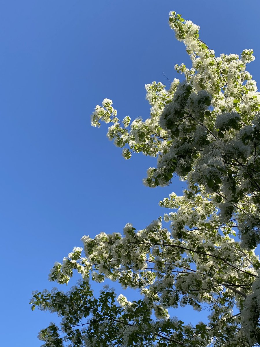 배고픈 사람 tweet media