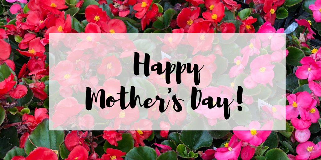 From all of us at Untiedt's, Happy Mother's Day to all of the fabulous moms out there! Treat yourself with a trip to one of our Garden Centers today 🌸