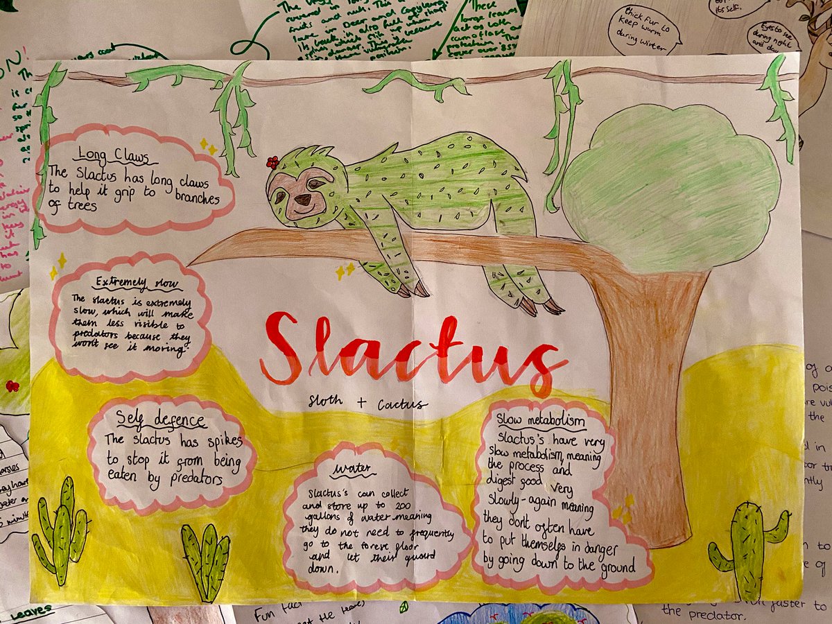 DESCGeography's tweet photo. 🌍 Mr McHale’s year 8 class have been investigating adaptation this term! Students have been making planimals! Is it a 🪴? Is it an 🦓? It’s the ultimate producer / carnivore adapted for its environment! The Planimal! 😂 🐯 🌵 🐫 #growatDESSC #creativity #planimals @DESCDubai https://t.co/sDYknFfizx