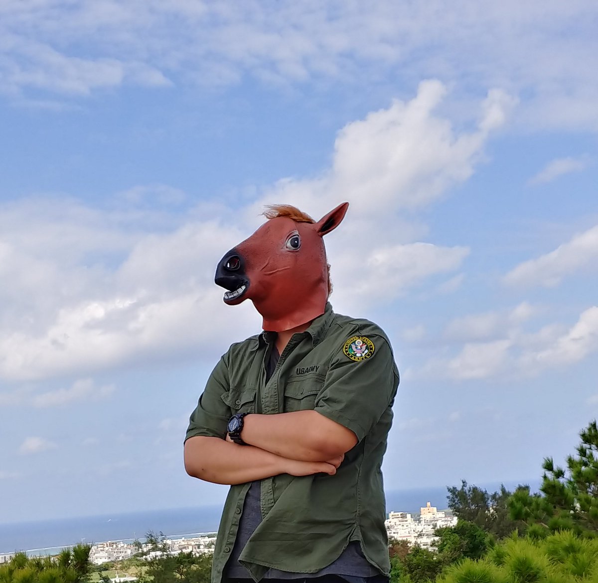 補習確定で死ぬ覚悟ができた馬 Atarashiiuma Twitter