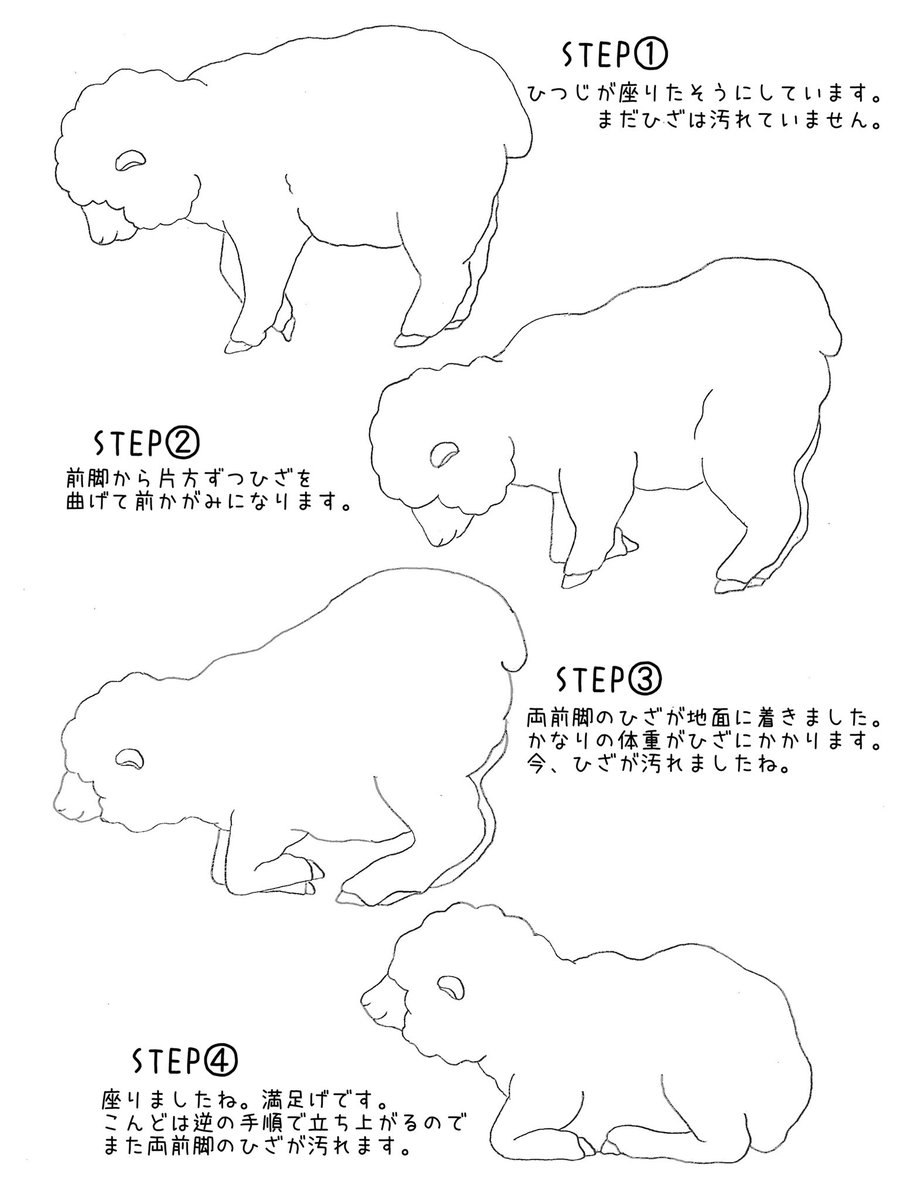 淡路ファームパーク イングランドの丘 公式 なぜひつじたちのひざは汚れるのか ひつじの座り方をイラストにして解説してみます 淡路ファームパーク イングランドの丘 公式 なぜひつじたちのひざは汚れるのか ひつじの座り方をイラストにして解説してみます