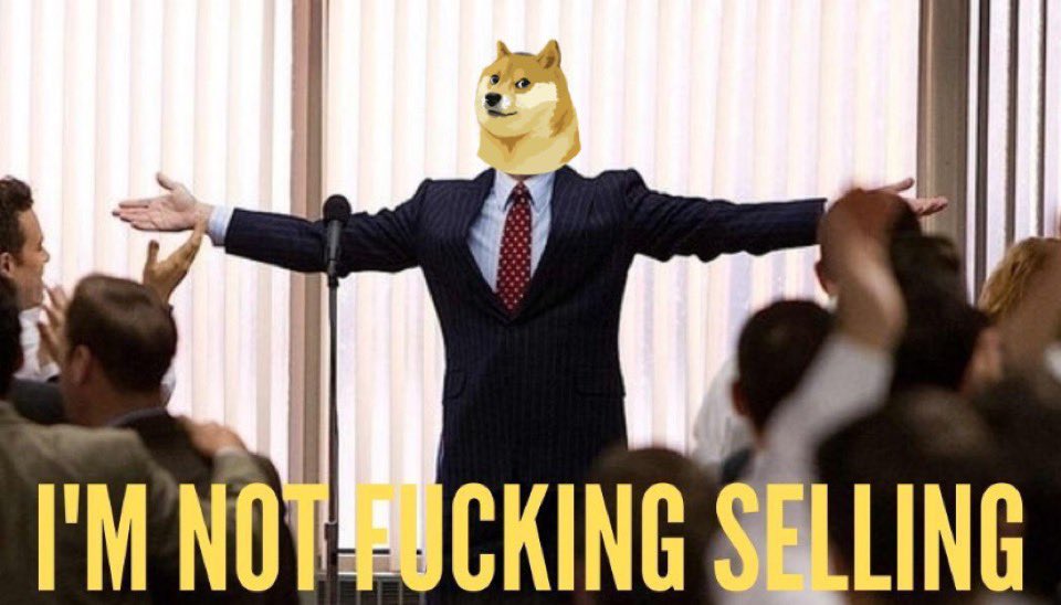 OnuIgboNile's tweet photo. The rise of dogecoin will melt minds away. Dogecoin will come back stronger. HODL! #dogetothemoon #dogecoin https://t.co/sXDbFQ8P7F