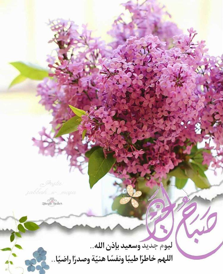 abeer_alwarod's tweet photo. صباح التوكل على الله واليقين   بقدرة الخالق https://t.co/Kd2gRmhL4j