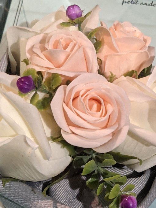 菖蒲 高画質 のtwitterイラスト検索結果 古い順