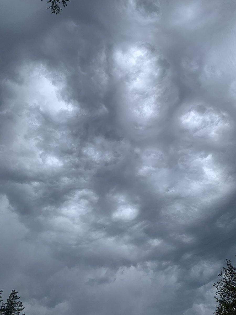 Prachtige wolkenlucht boven Gasselte. Altocumulus undulatus asperatus, toch <a href="/helgavanleur/">Helga van Leur ☀</a> ?