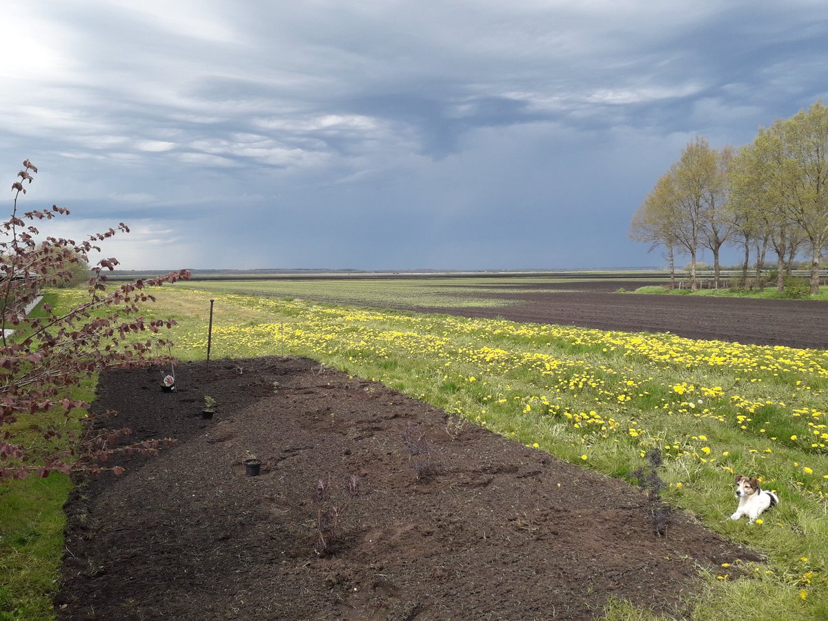 HeleenHoltmanns's tweet photo. @gerritwermink Het is ook benauwd. Er zit hier onweer in de lucht #gerommel https://t.co/kJG9ScfzXY
