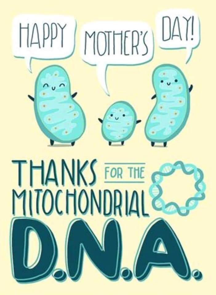 Mitochondrial Medicine (@mito_therapy) on Twitter photo 