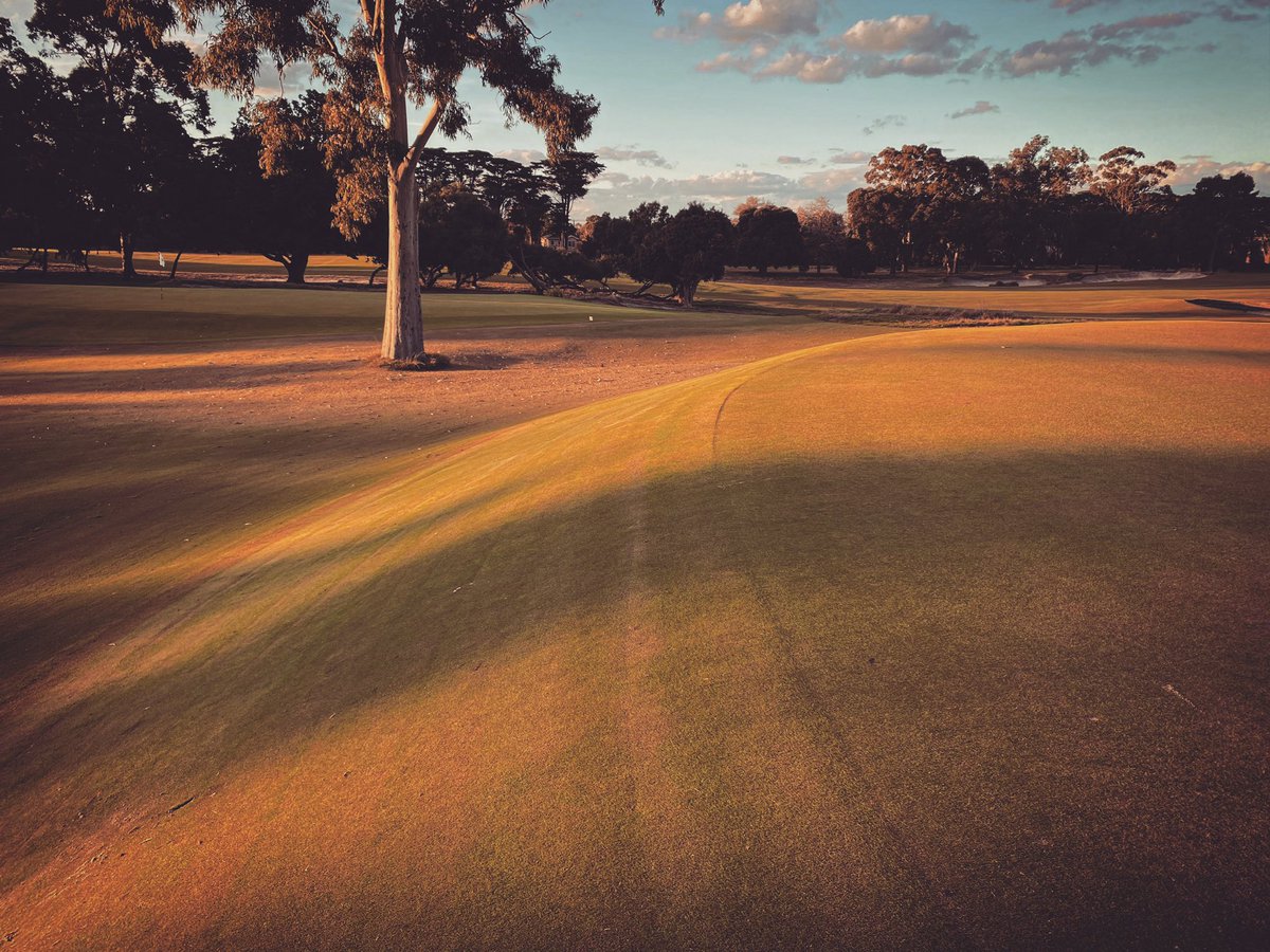 Some lovely light tonight that only enhanced these interesting perspectives about the classic short par-4 15th hole