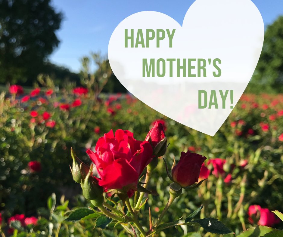 PanoramicFarm's tweet photo. Happy Mother's Day from Panoramic Farm! https://t.co/Xvqb0Yb3O7