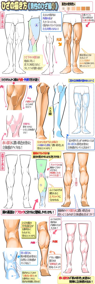 男性のひざの筋肉図解と塗り方技法 吉村拓也 イラスト講座 の漫画
