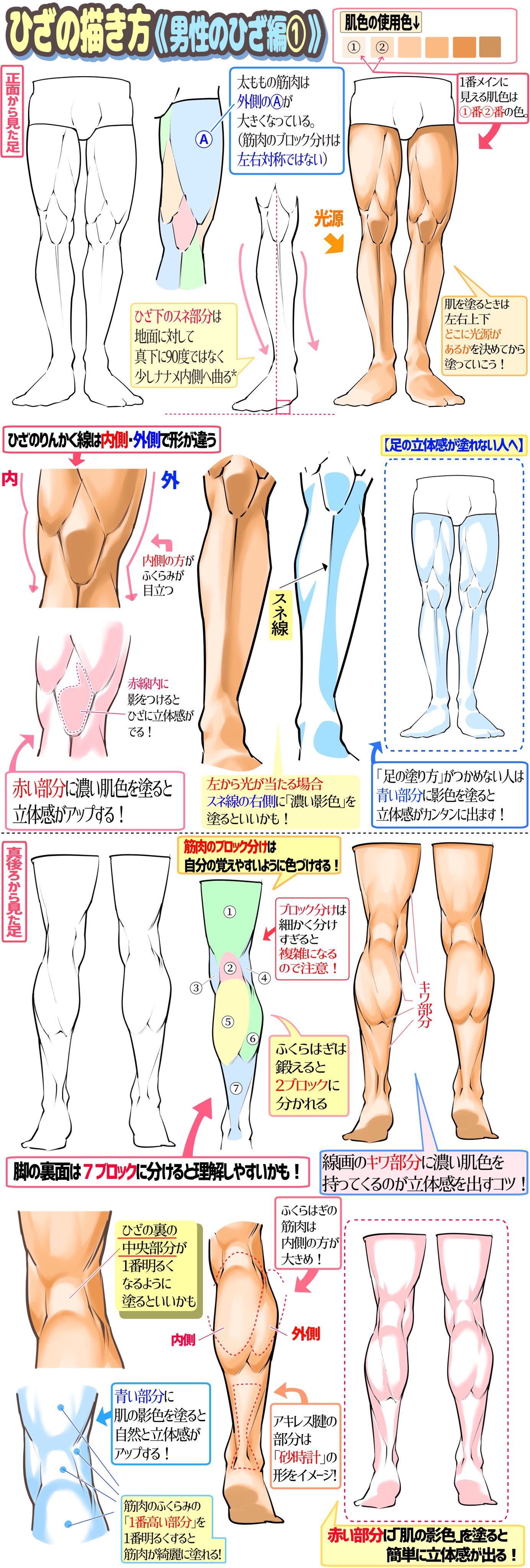 吉村拓也 イラスト講座 男性のひざの筋肉図解と塗り方技法
