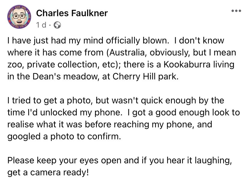 What’s the strangest thing you’ve ever seen in Ely?? How about a kookaburra... don’t laugh at me, I’m serious!! Apparently one was seen in Whittlesey last week so likely the same bird. If so it’s flying the wrong way if it’s wants to go home 😂😂😂