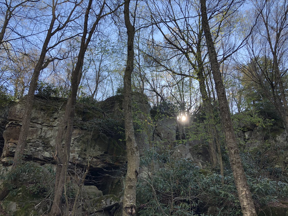 gillie's tweet photo. Some highlights from yesterday’s long, snowy (for like 3 minutes), muddy af, tiring af, beautiful hike on the Laurel Highlands Hiking Trail between miles 39 & 45. #lhht https://t.co/CiWQSG1sQY