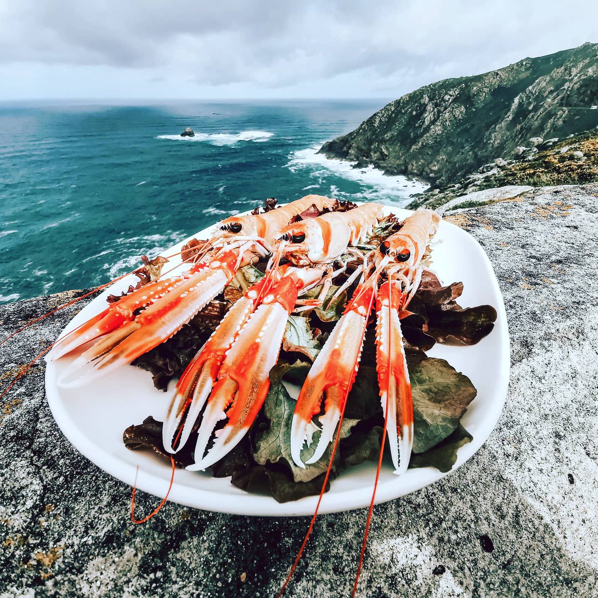 🦞Fuera de carta tenemos unas 𝗖𝗶𝗴𝗮𝗹𝗮𝘀 estupendas al horno para que conserven todo su sabor con  #aceitedeolivaextravirgen #pimienta y #sal

🐟 También tenemos 𝗖𝗼𝗿𝘂𝘅𝗼, primo hermano del rodaballo al horno y con un aderezo espectacular sacado del propio #pescado.
