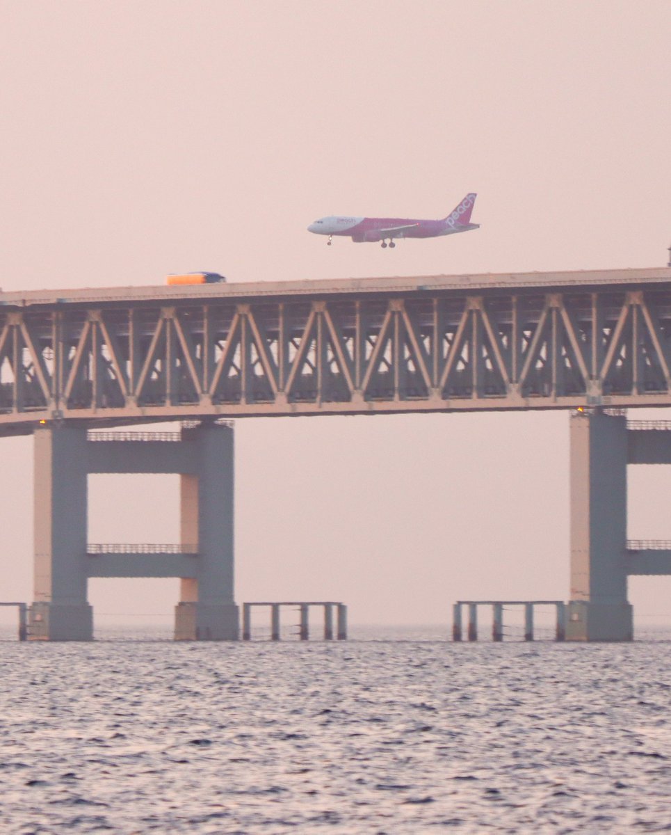 A330neo's tweet photo. 関空のスカイビューがコロナで閉鎖されてるから対岸から頑張るしかない😭
#りんくうマーブルビーチ https://t.co/q5V6J6OLvS