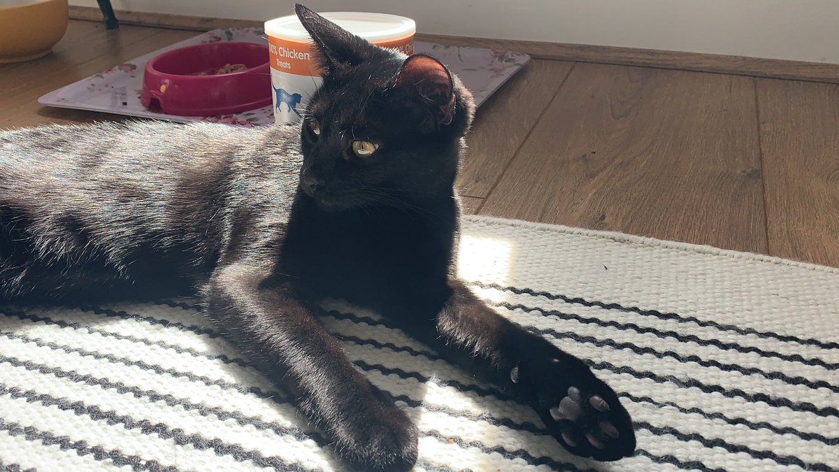 Fine, I like my new sister. She and I bonded over <a href="/ThrivePetFoods/">Thrive Pet Foods</a>. She likes the chicken treats. I like chicken and liver