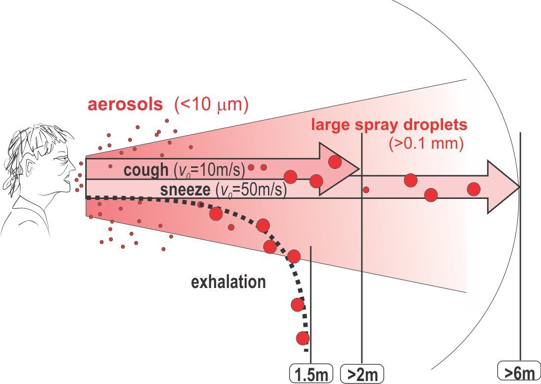 Attention, il ne faut pas oublier qu'une personne peut éternuer ou tousser ! Dans ces cas de figure, les gouttelettes seront projetées plus loin, jusqu'à 6-8 mètres de distance !