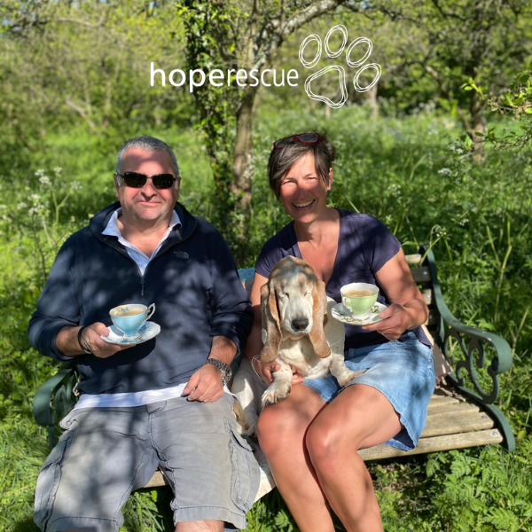 HopeRescue's tweet photo. Bev adopted Gracie from us 10 years ago, and this year is running the London Marathon for us. You can support Bev and read Gracie's story here: https://t.co/G2nTvgavr1 - We do have places available for the Virtual London Marathon - please email fundraising@hoperescue.org.uk  🐾 https://t.co/hOhoxJCuEL