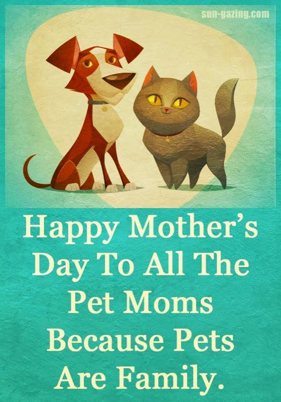 OscarWinning's tweet photo. We wish you a wonderful day with all your fur/feather/scale-babies!
#quarantraining #AloneTogether #goodgirly #bestboy #onlinetraining #iaabc #catbehavior #dogbehavior #OscarWinner #behaviorthatwinsrewards https://t.co/UjFtGmEvGW