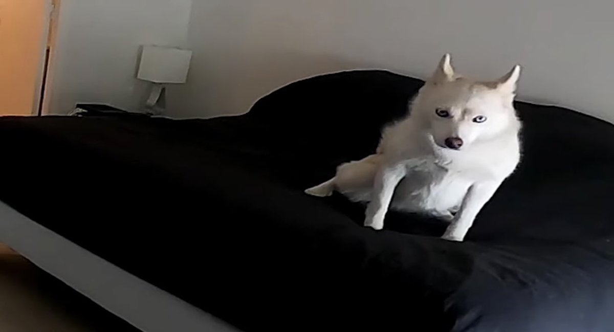 Valouzz 👁‍🗨 tweet media