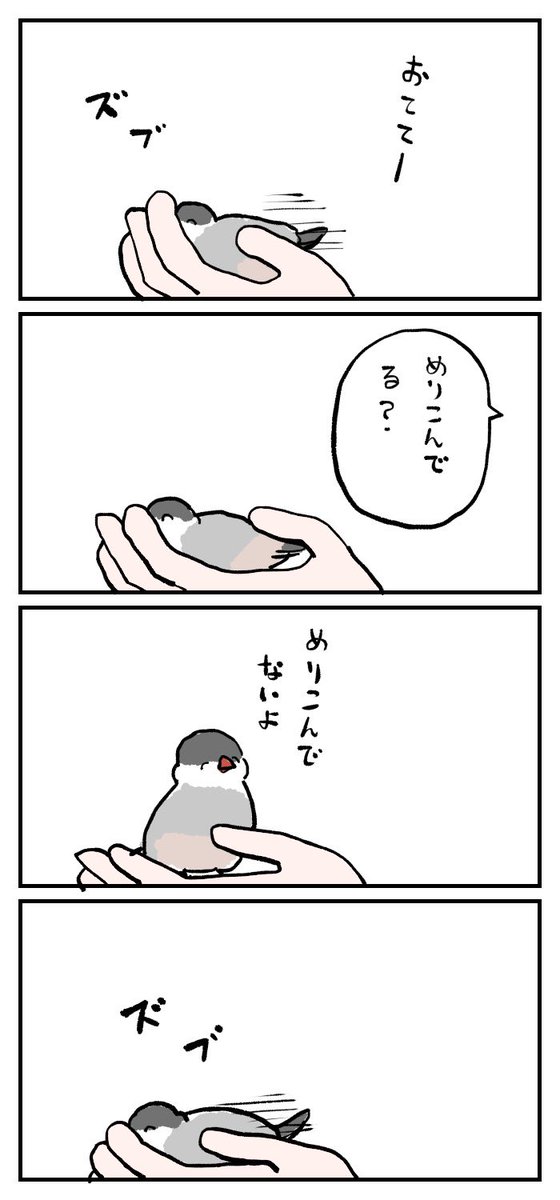 文鳥さん今日も元気でした 